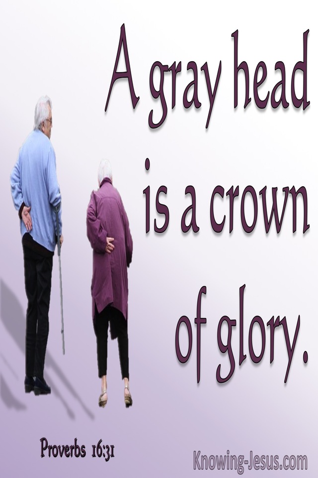 Proverbs 16:31 Gray Hair Is A Crown of Glory (purple)